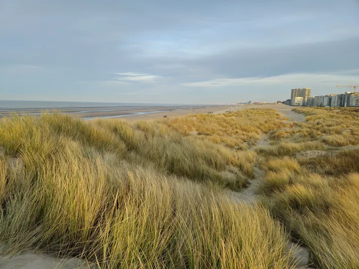 Oostnieuwkerke duinen wandeling in de koude (België)